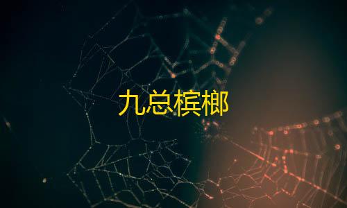 透视开挂器(免费)九总槟榔