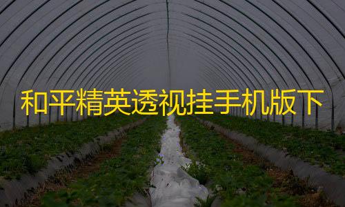 和平精英辅助科技和平精英透视挂手机版下载，和平精英透视辅助软件下载安卓版