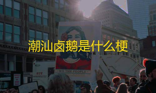 和平精英外软件挂自瞄免费潮汕卤鹅是什么梗